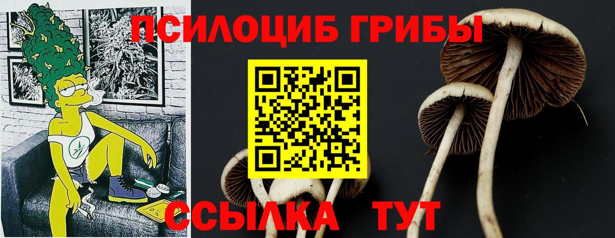 Унеча  Псилоцибиновые грибы GOLDEN TEACHER  Вход с VPN 
